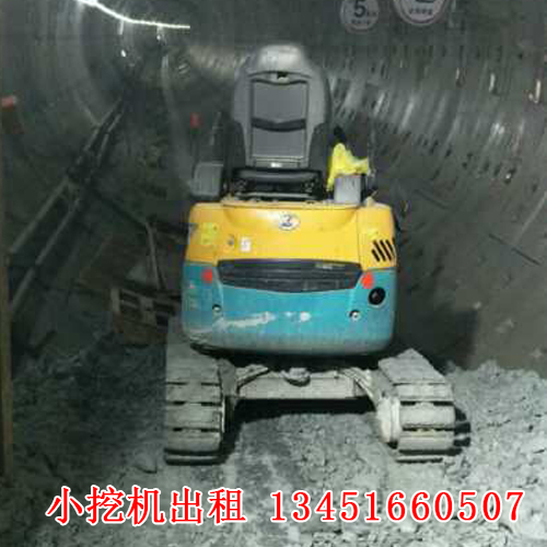 微型小挖機租賃的應(yīng)用廣泛，今天帶大家來了解一下！(圖1)